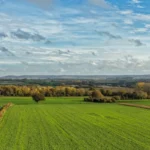 Ile kosztuje hektar ziemi rolnej? Ceny ziemi rolnej w 2025/2026 roku