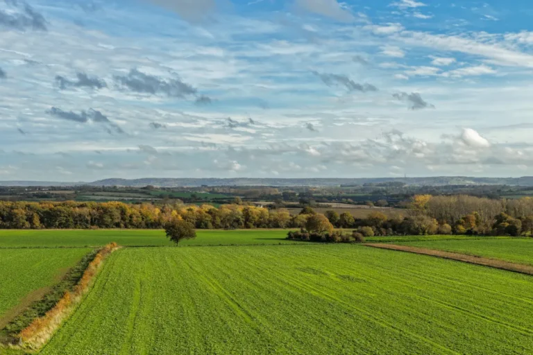 ile kosztuje hektar ziemi rolnej